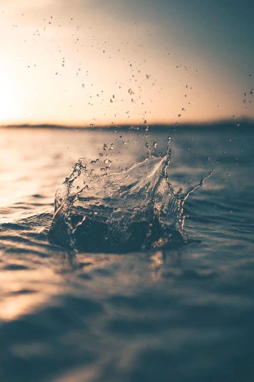 Cosmetic Ingredient Water