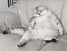 lazy